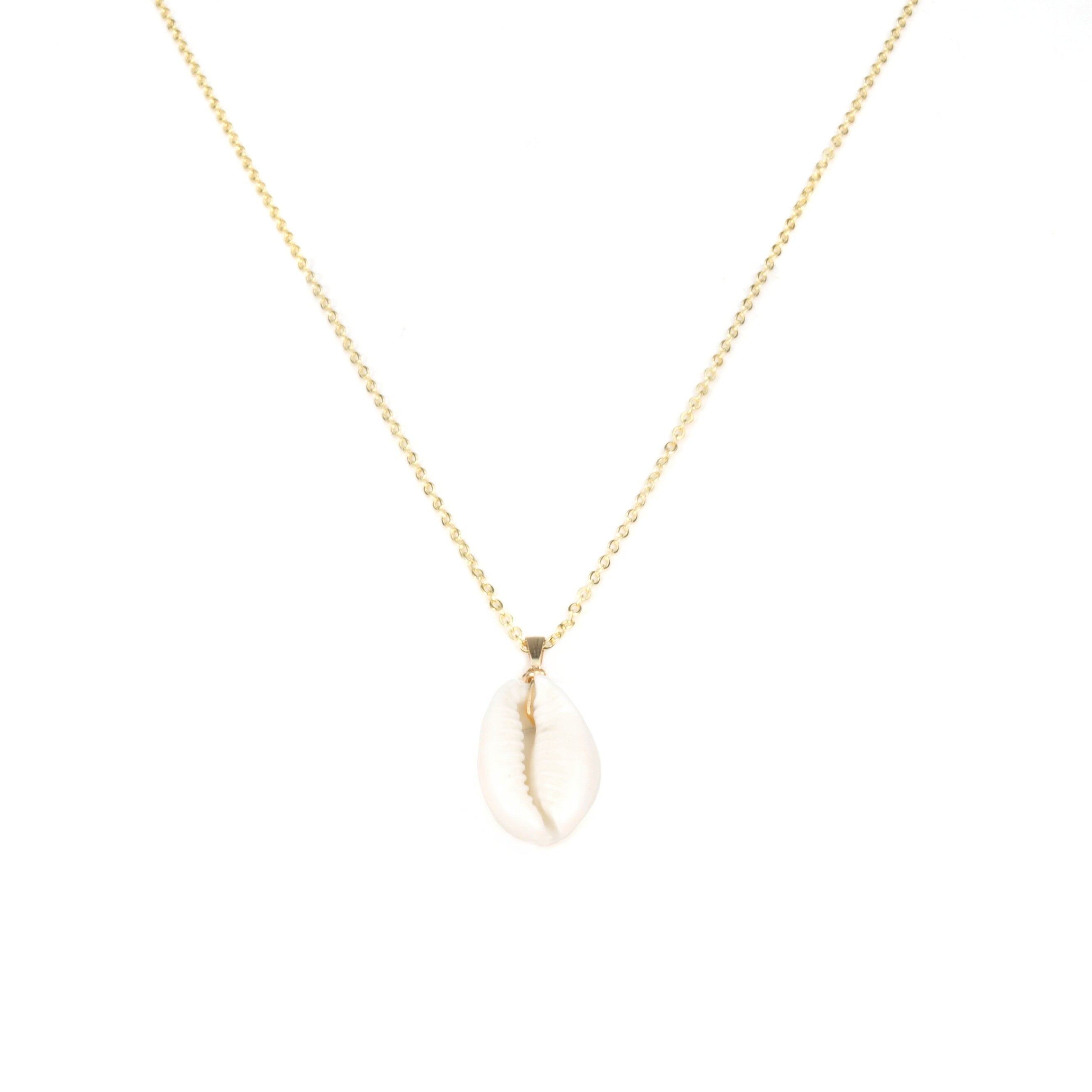 Kette vergoldet mit Kauri Muschel
