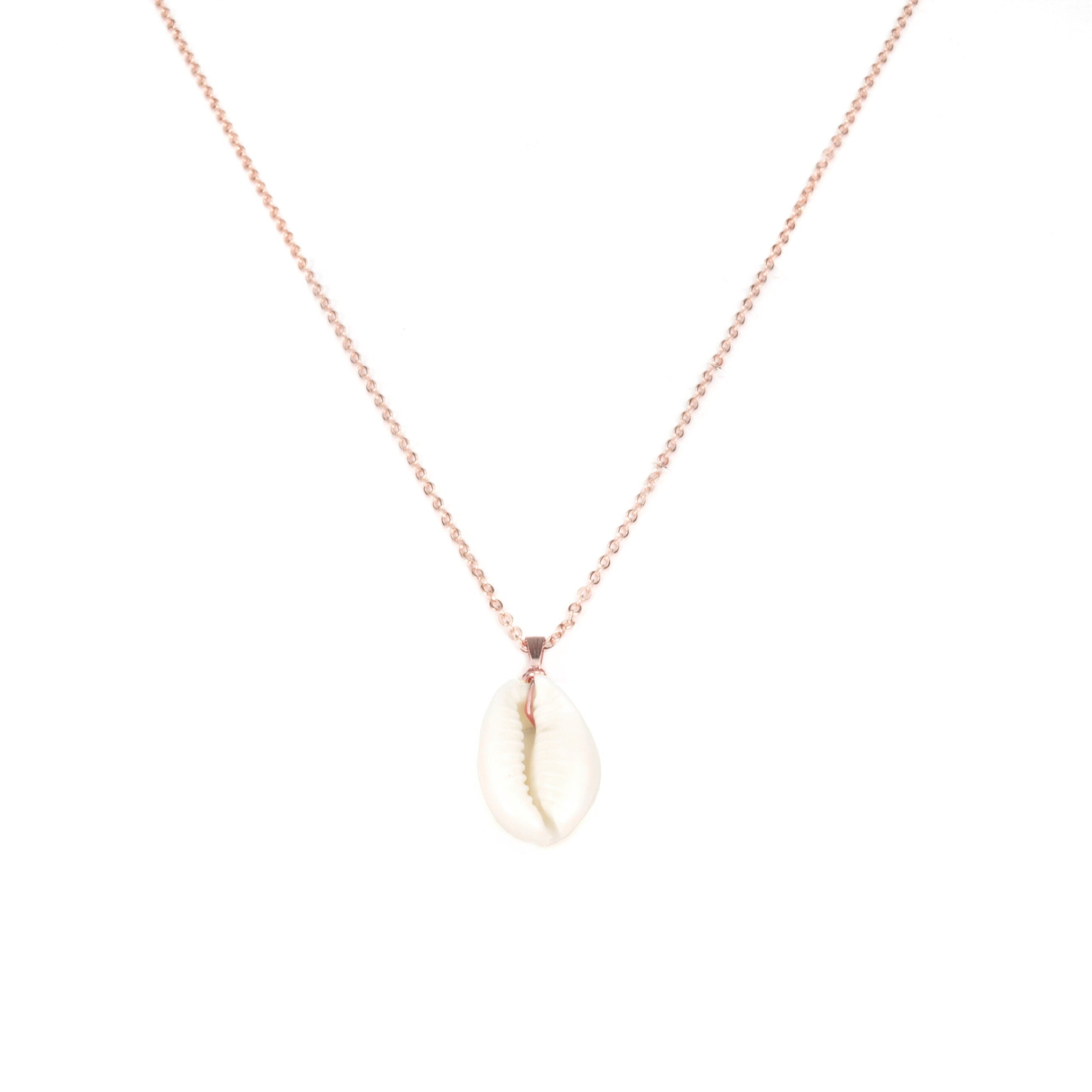 Kette vergoldet mit Kauri Muschel
